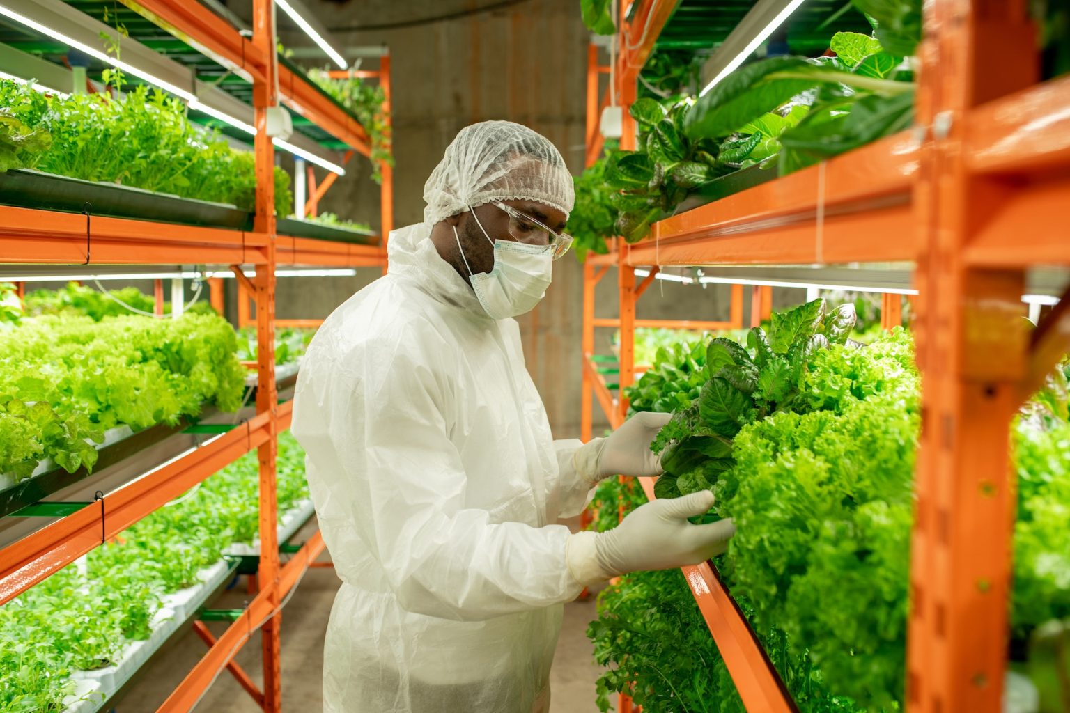 Black agricultural engineer in mask